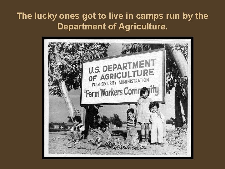 The lucky ones got to live in camps run by the Department of Agriculture.