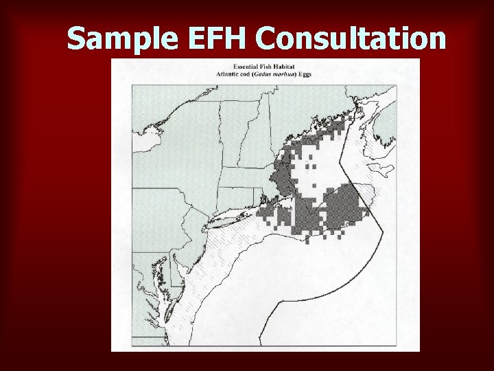 Sample EFH Consultation 