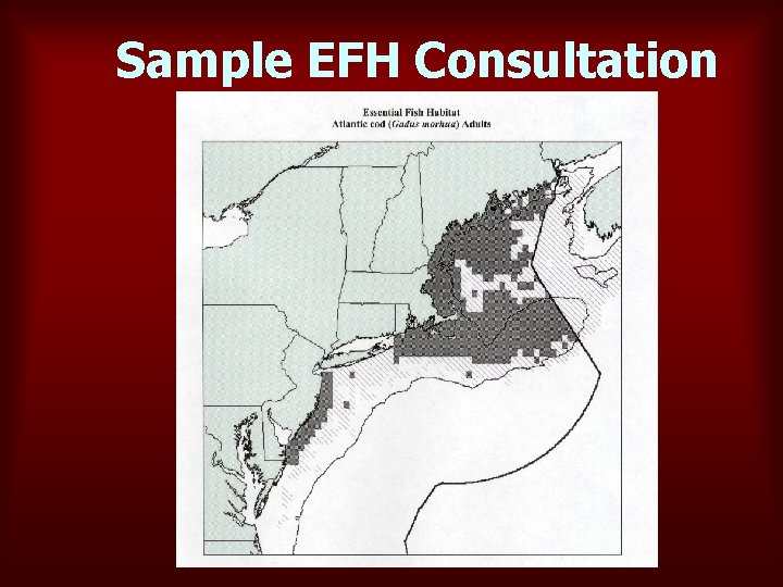 Sample EFH Consultation 