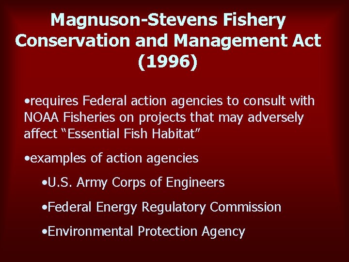 Magnuson-Stevens Fishery Conservation and Management Act (1996) • requires Federal action agencies to consult