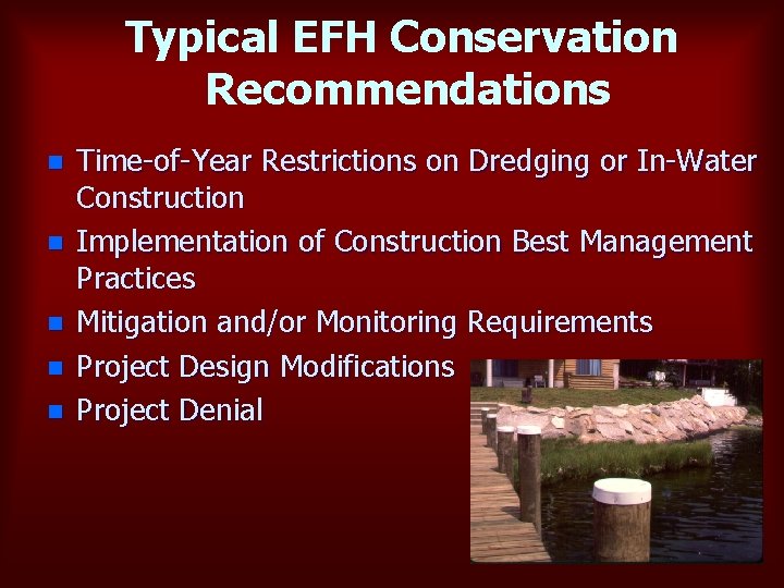 Typical EFH Conservation Recommendations n n n Time-of-Year Restrictions on Dredging or In-Water Construction