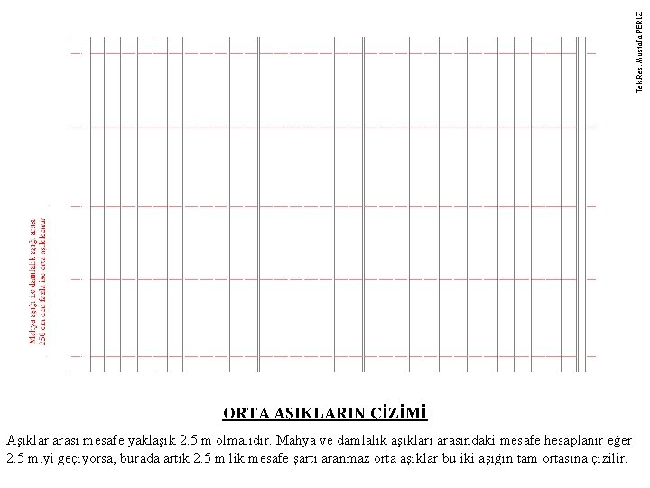 Tek. Res. Mustafa PERİZ ORTA AŞIKLARIN ÇİZİMİ Aşıklar arası mesafe yaklaşık 2. 5 m