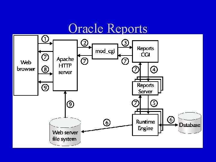 Oracle Reports 
