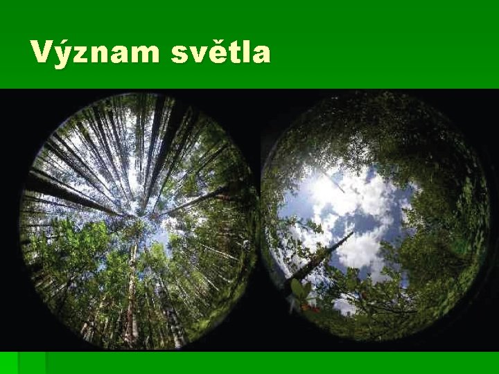 Význam světla 