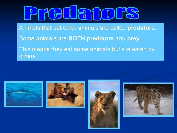 Animals that eat other animals are called predators. Some animals are BOTH predators and