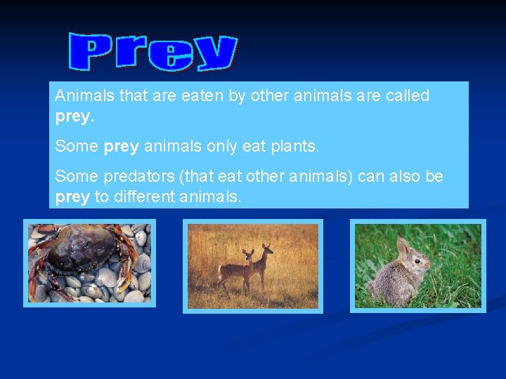 Animals that are eaten by other animals are called prey. Some prey animals only