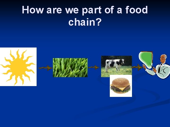 How are we part of a food chain? 