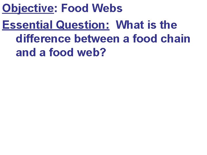 Objective: Food Webs Essential Question: What is the difference between a food chain and