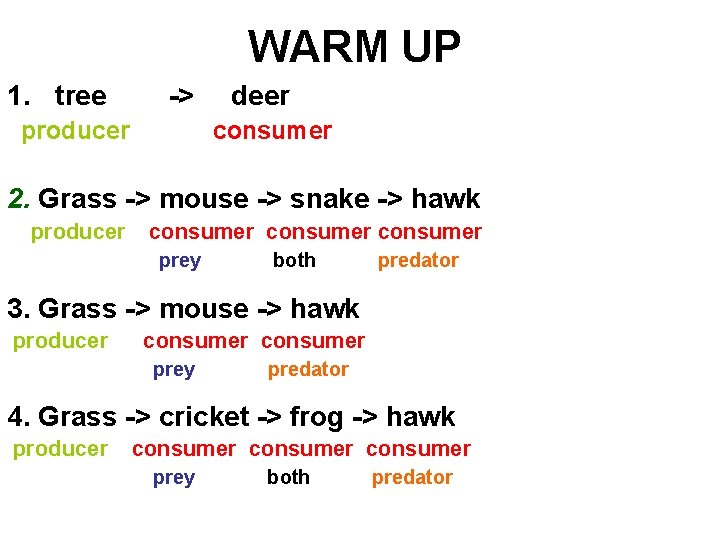 WARM UP 1. tree -> producer deer consumer 2. Grass -> mouse -> snake
