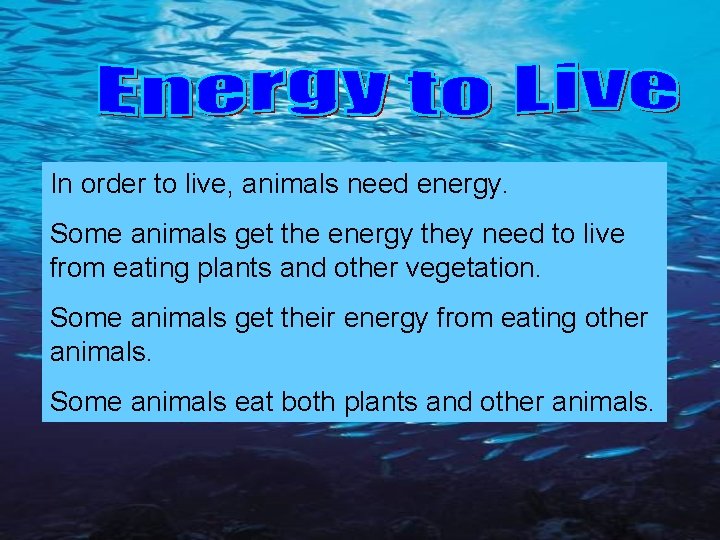 In order to live, animals need energy. Some animals get the energy they need
