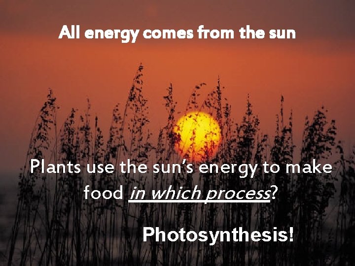 All energy comes from the sun Plants use the sun’s energy to make food