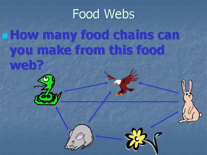 Food Webs n How many food chains can you make from this food web?