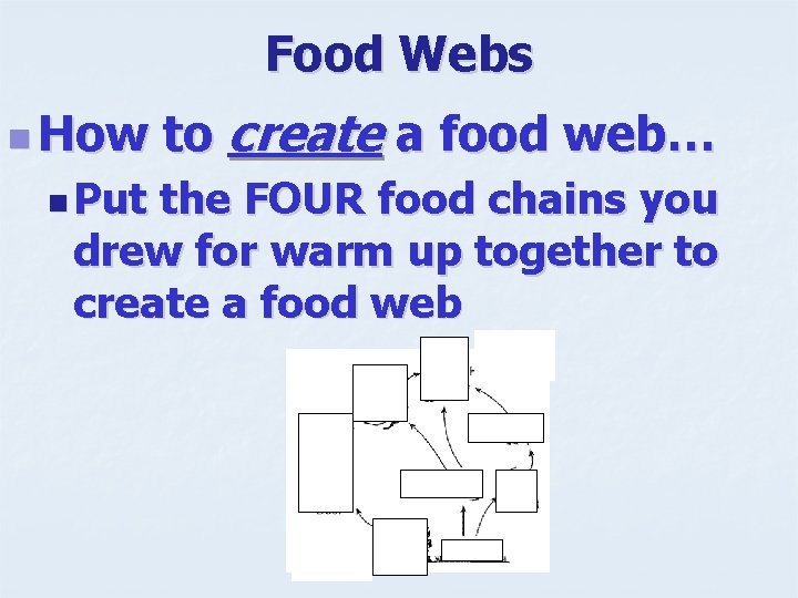Food Webs create a food web… n How to n Put the FOUR food
