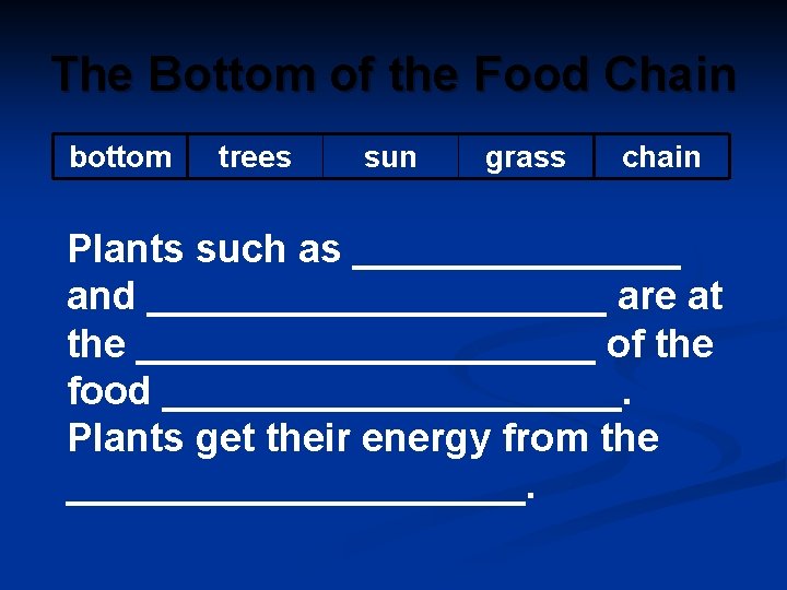 The Bottom of the Food Chain bottom trees sun grass chain Plants such as