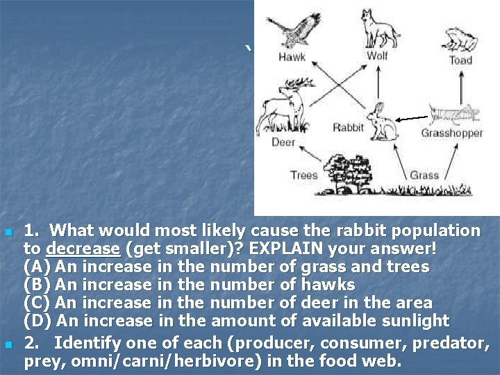 ` n n 1. What would most likely cause the rabbit population to decrease