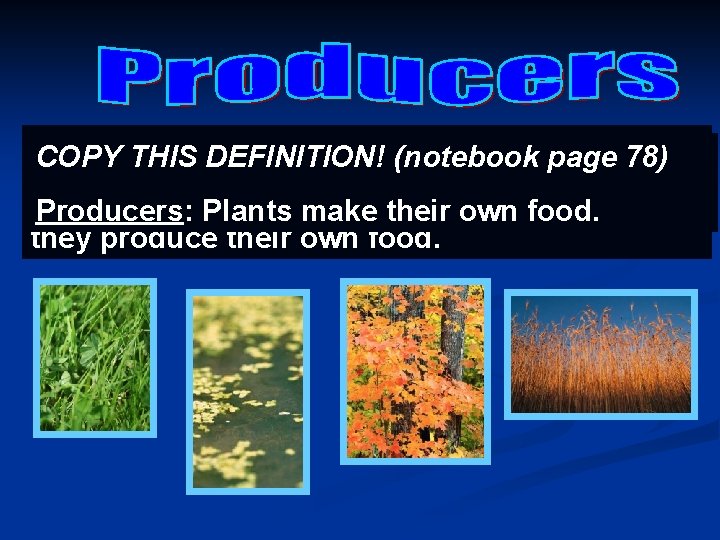 Nearly all food chains start with a plant. COPY THIS DEFINITION! (notebook page 78)