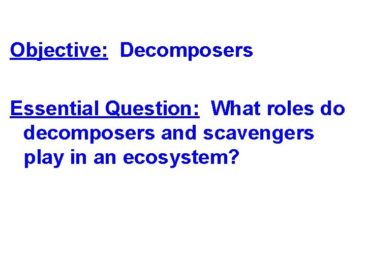 Objective: Decomposers Essential Question: What roles do decomposers and scavengers play in an ecosystem?