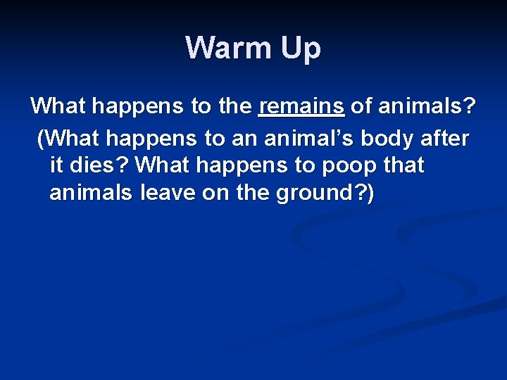 Warm Up What happens to the remains of animals? (What happens to an animal’s