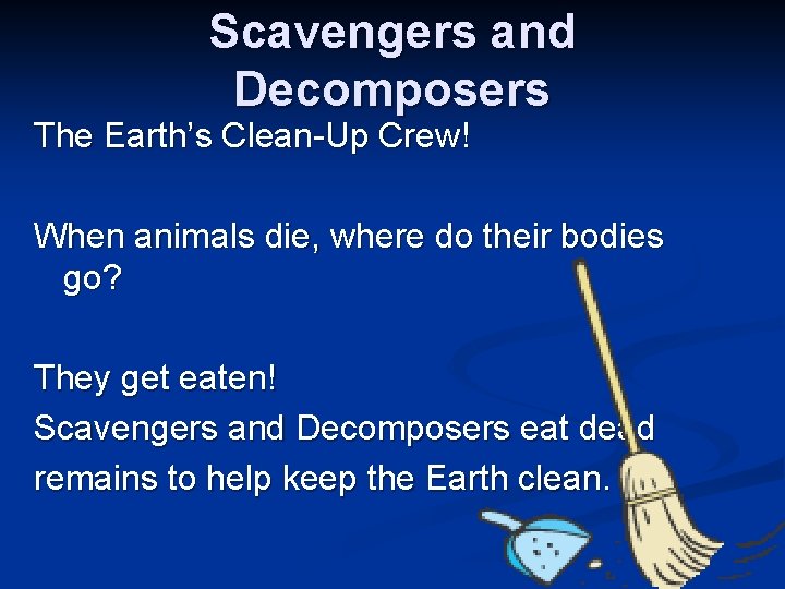 Scavengers and Decomposers The Earth’s Clean-Up Crew! When animals die, where do their bodies