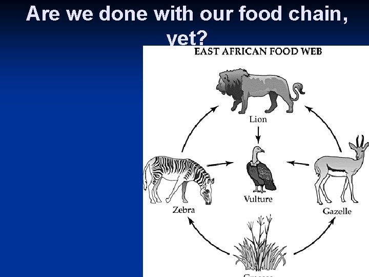 Are we done with our food chain, yet? 