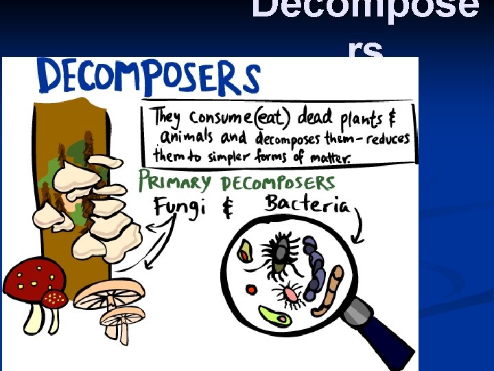 Decompose rs 