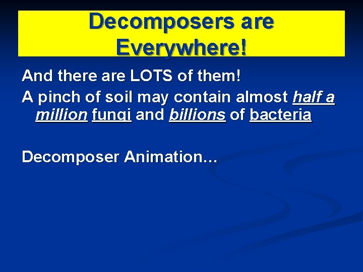 Decomposers are Everywhere! And there are LOTS of them! A pinch of soil may