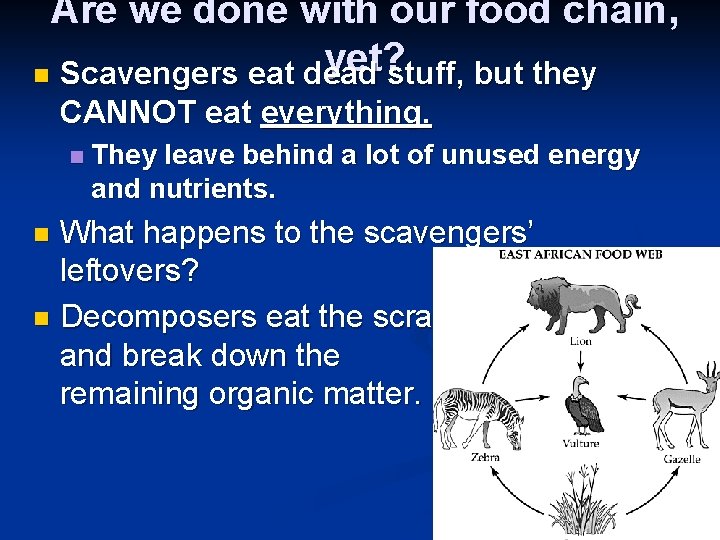 Are we done with our food chain, yet? n Scavengers eat dead stuff, but