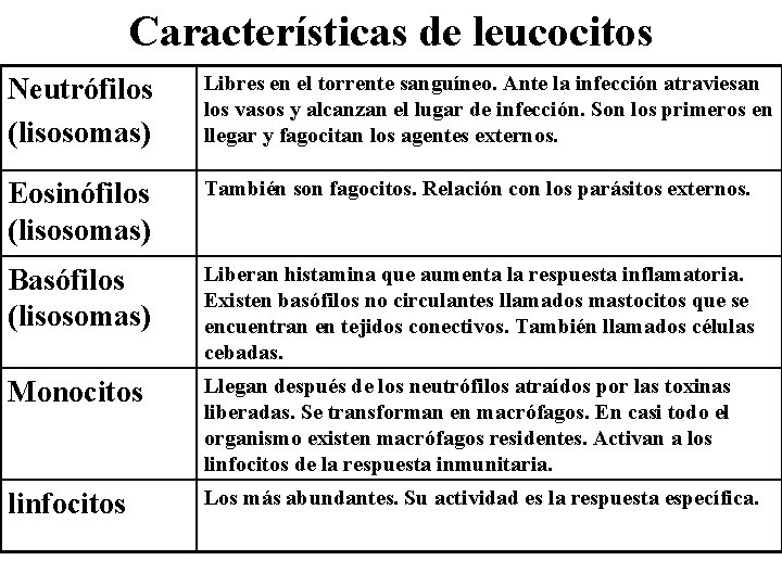 Características de leucocitos Neutrófilos (lisosomas) Libres en el torrente sanguíneo. Ante la infección atraviesan