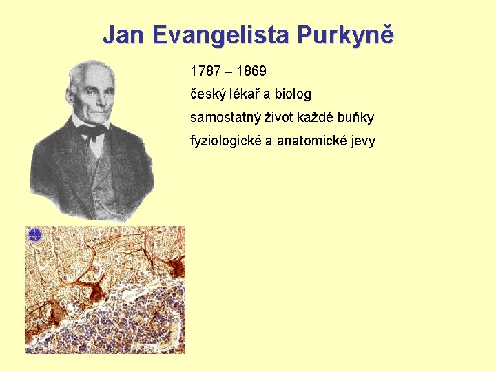 Jan Evangelista Purkyně 1787 – 1869 český lékař a biolog samostatný život každé buňky