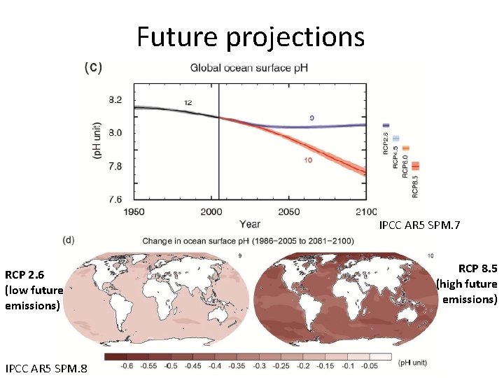 Future projections IPCC AR 5 SPM. 7 RCP 2. 6 (low future emissions) IPCC