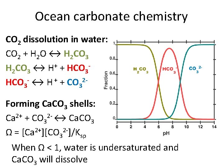 Ocean carbonate chemistry CO 2 dissolution in water: CO 2 + H 2 O