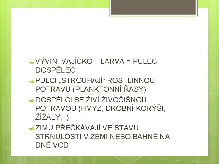  VÝVIN: VAJÍČKO – LARVA = PULEC – DOSPĚLEC PULCI „STROUHAJÍ“ ROSTLINNOU POTRAVU (PLANKTONNÍ