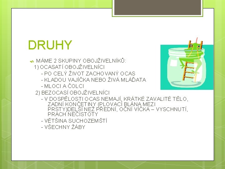DRUHY MÁME 2 SKUPINY OBOJŽIVELNÍKŮ: 1) OCASATÍ OBOJŽIVELNÍCI - PO CELÝ ŽIVOT ZACHOVANÝ OCAS