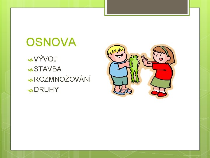 OSNOVA VÝVOJ STAVBA ROZMNOŽOVÁNÍ DRUHY 