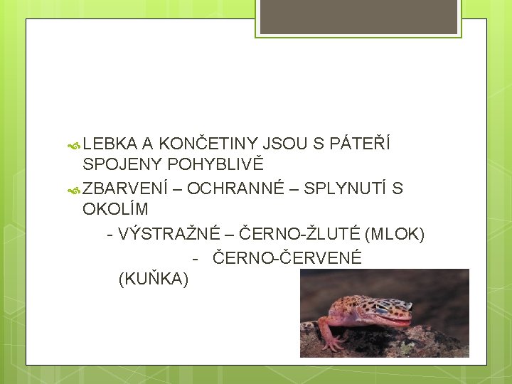  LEBKA A KONČETINY JSOU S PÁTEŘÍ SPOJENY POHYBLIVĚ ZBARVENÍ – OCHRANNÉ – SPLYNUTÍ