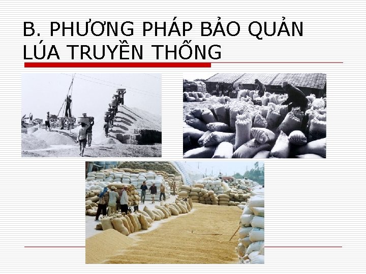 B. PHƯƠNG PHÁP BẢO QUẢN LÚA TRUYỀN THỐNG 