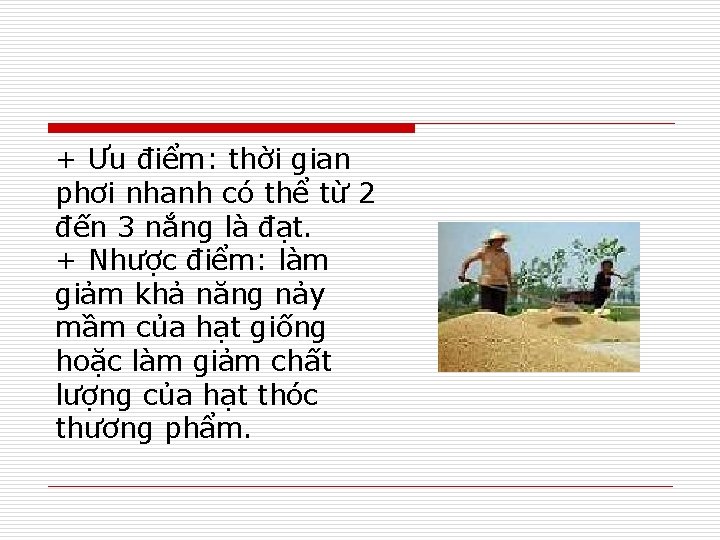 + Ưu điểm: thời gian phơi nhanh có thể từ 2 đến 3 nắng