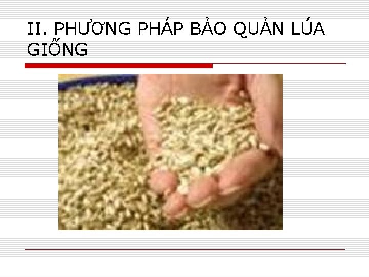 II. PHƯƠNG PHÁP BẢO QUẢN LÚA GIỐNG 