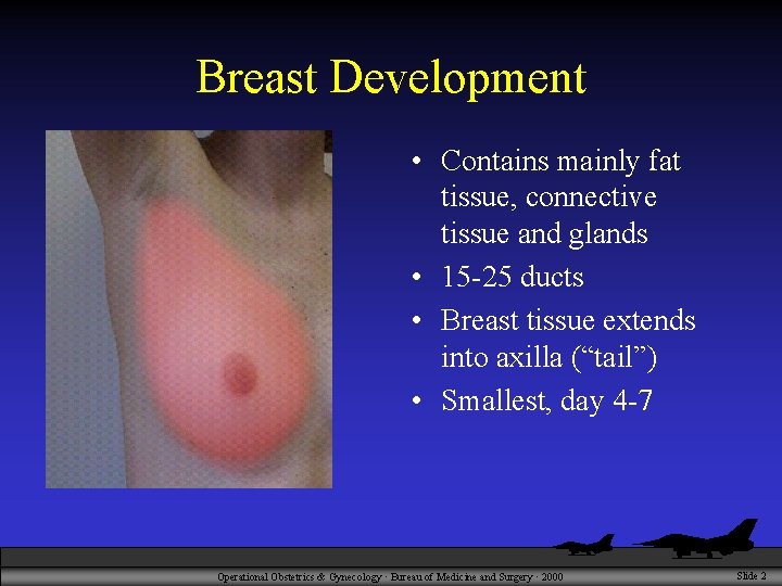 Breast Development • Contains mainly fat tissue, connective tissue and glands • 15 -25