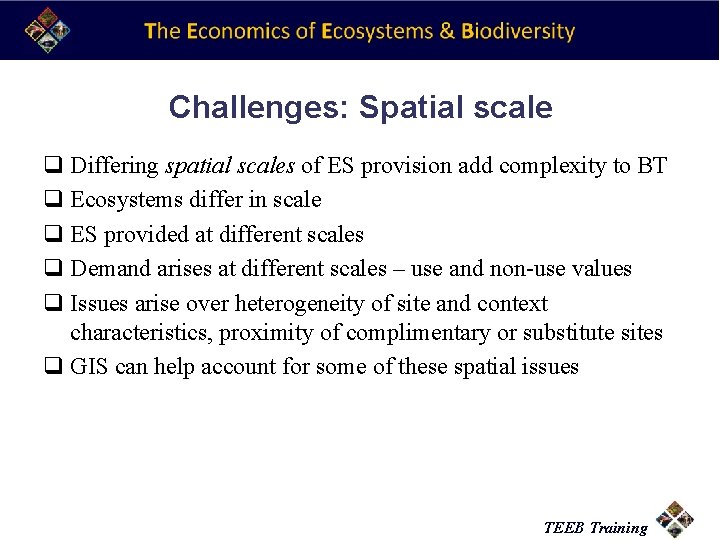Challenges: Spatial scale q Differing spatial scales of ES provision add complexity to BT
