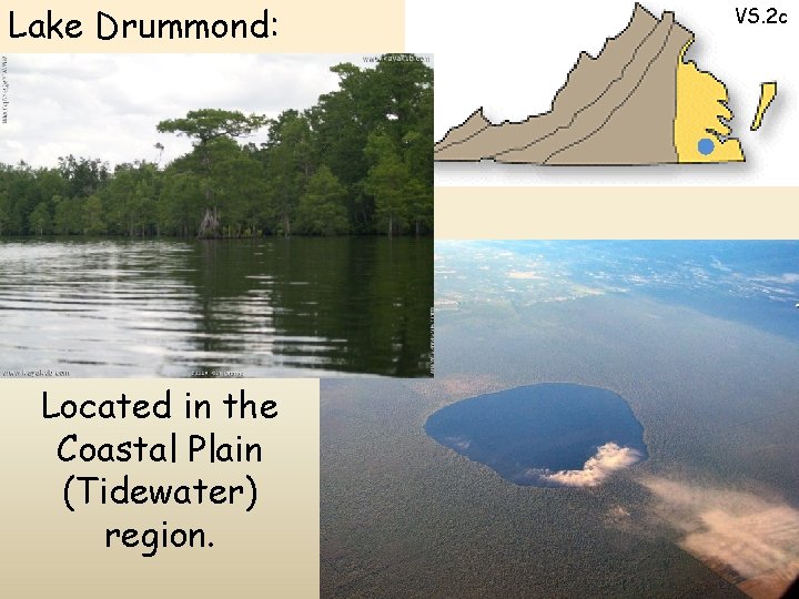 Lake Drummond: Located in the Coastal Plain (Tidewater) region. VS. 2 c 