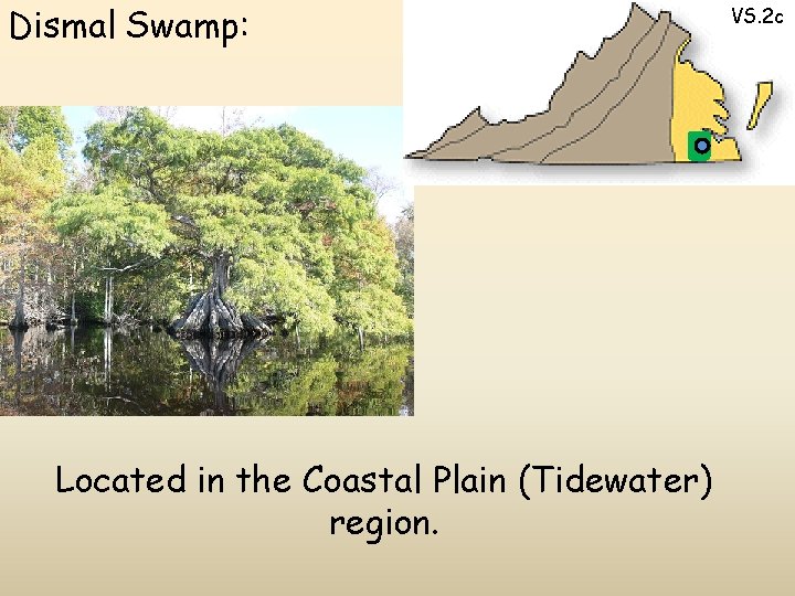 Dismal Swamp: Located in the Coastal Plain (Tidewater) region. VS. 2 c 