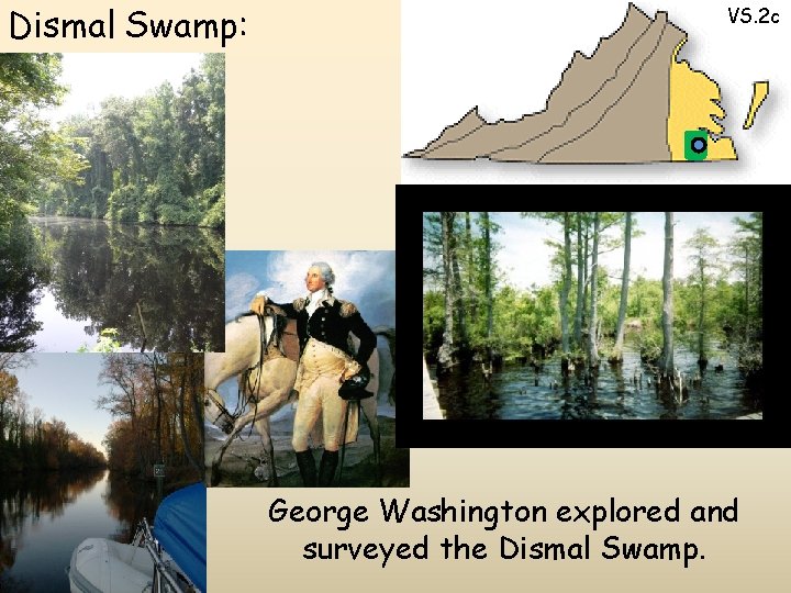 Dismal Swamp: VS. 2 c George Washington explored and surveyed the Dismal Swamp. 