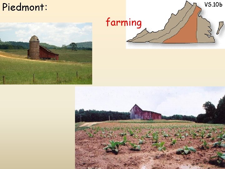 Piedmont: VS. 10 b farming Industries 