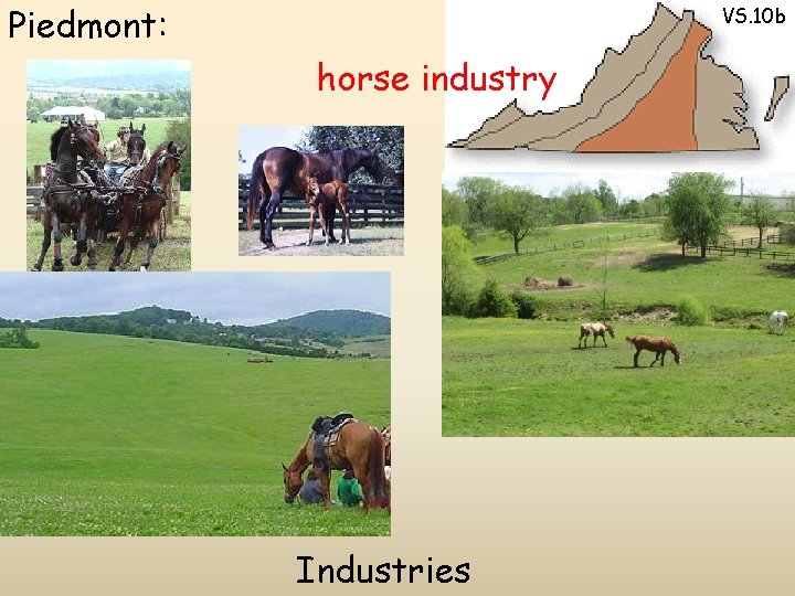 Piedmont: VS. 10 b horse industry Industries 