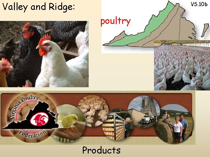 Valley and Ridge: VS. 10 b poultry Products 