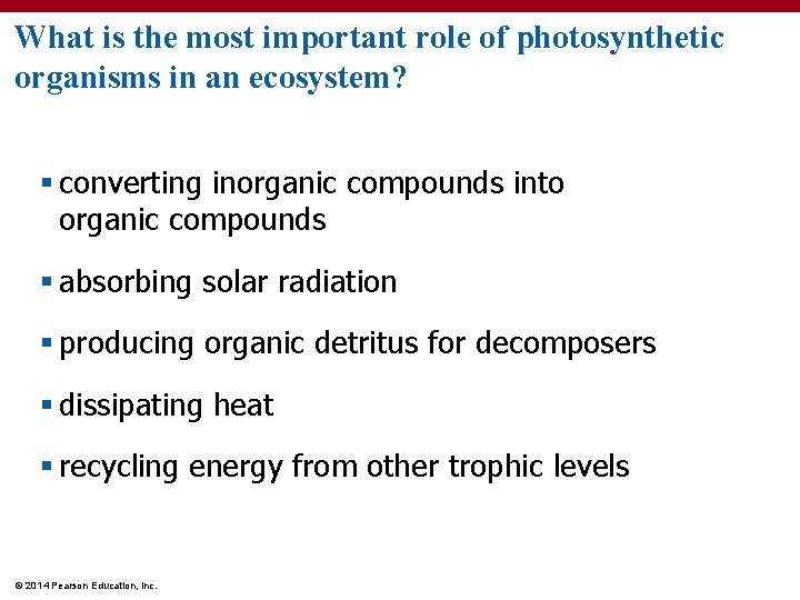 What is the most important role of photosynthetic organisms in an ecosystem? § converting