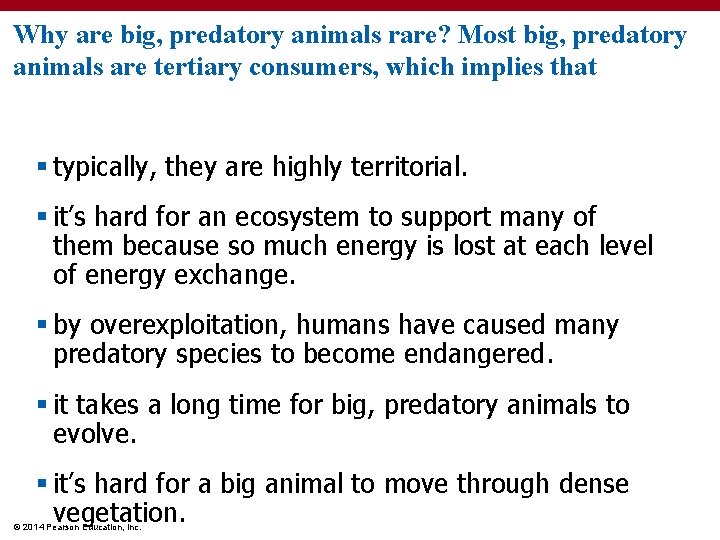 Why are big, predatory animals rare? Most big, predatory animals are tertiary consumers, which