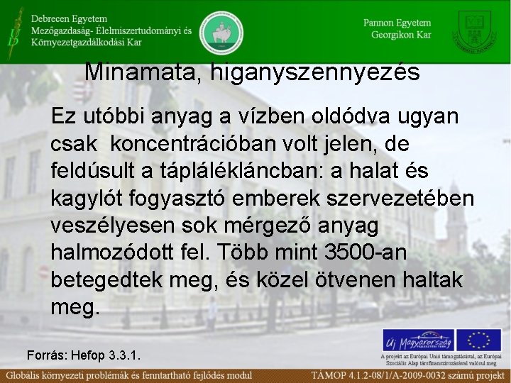 Minamata, higanyszennyezés Ez utóbbi anyag a vízben oldódva ugyan csak koncentrációban volt jelen, de