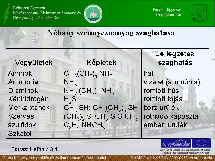 Néhány szennyezőanyag szaghatása Vegyületek Aminok Ammónia Diaminok Kénhidrogén Merkaptánok Szerves szulfidok Szkatol Forrás: Hefop